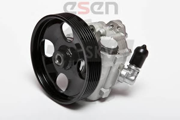 Esen SKV 10SKV073 Hydraulic Pump, steering system 10SKV073: Buy near me in Poland at 2407.PL - Good price!