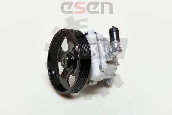 Esen SKV 10SKV009 Hydraulic Pump, steering system 10SKV009: Buy near me in Poland at 2407.PL - Good price!