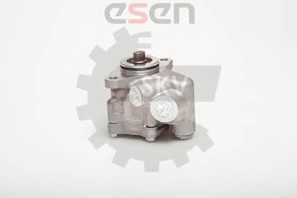 Esen SKV 10SKV051 Hydraulic Pump, steering system 10SKV051: Buy near me in Poland at 2407.PL - Good price!