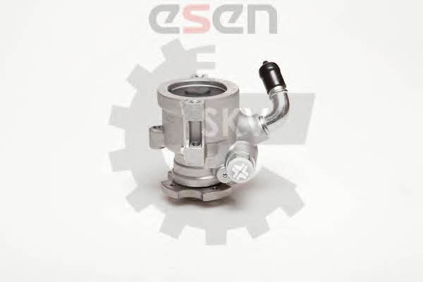 Esen SKV 10SKV096 Hydraulic Pump, steering system 10SKV096: Buy near me in Poland at 2407.PL - Good price!