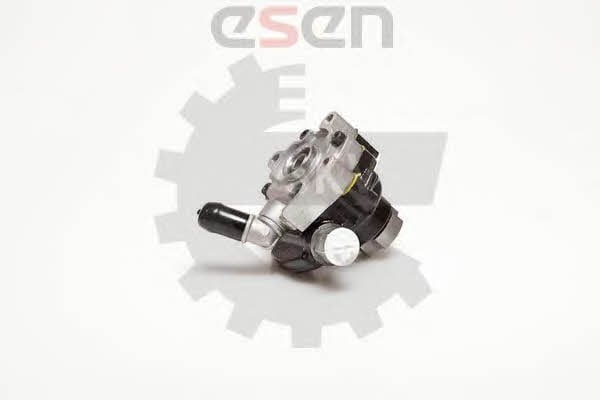 Esen SKV 10SKV116 Hydraulic Pump, steering system 10SKV116: Buy near me in Poland at 2407.PL - Good price!