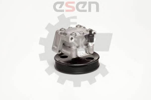Esen SKV 10SKV050 Hydraulic Pump, steering system 10SKV050: Buy near me in Poland at 2407.PL - Good price!