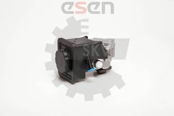 Esen SKV 10SKV012 Hydraulic Pump, steering system 10SKV012: Buy near me in Poland at 2407.PL - Good price!