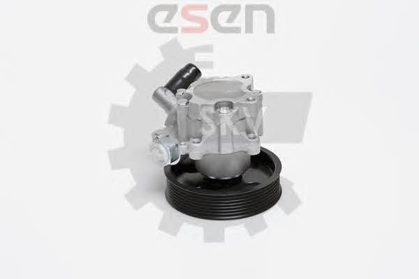 Esen SKV 10SKV024 Hydraulic Pump, steering system 10SKV024: Buy near me in Poland at 2407.PL - Good price!