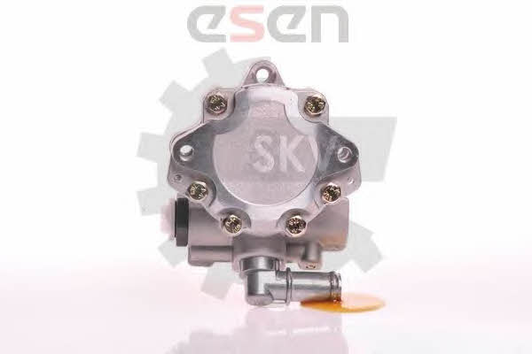 Esen SKV 10SKV117 Hydraulic Pump, steering system 10SKV117: Buy near me in Poland at 2407.PL - Good price!