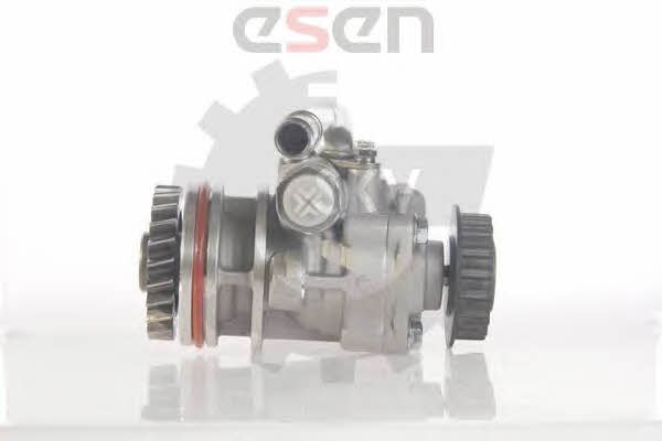 Esen SKV 10SKV131 Hydraulic Pump, steering system 10SKV131: Buy near me in Poland at 2407.PL - Good price!