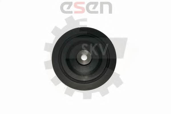 Купити Esen SKV 95SKV322 за низькою ціною в Польщі!