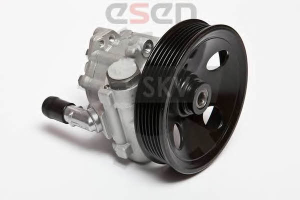 Esen SKV 10SKV063 Hydraulic Pump, steering system 10SKV063: Buy near me in Poland at 2407.PL - Good price!