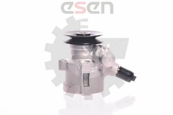 Esen SKV 10SKV118 Hydraulic Pump, steering system 10SKV118: Buy near me in Poland at 2407.PL - Good price!
