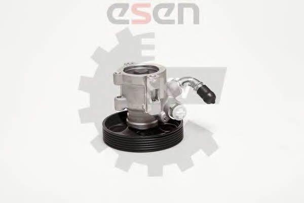 Esen SKV 10SKV031 Hydraulic Pump, steering system 10SKV031: Buy near me in Poland at 2407.PL - Good price!