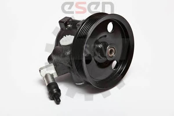 Esen SKV 10SKV066 Hydraulic Pump, steering system 10SKV066: Buy near me in Poland at 2407.PL - Good price!