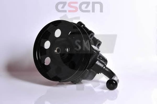 Esen SKV 10SKV114 Hydraulic Pump, steering system 10SKV114: Buy near me in Poland at 2407.PL - Good price!