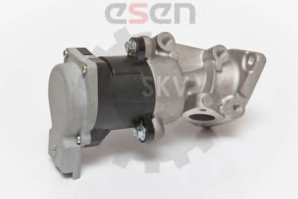 Esen SKV 14SKV066 Клапан рециркуляции отработанных газов EGR 14SKV066: Отличная цена - Купить в Польше на 2407.PL!