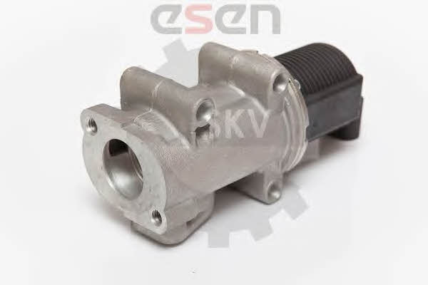 Esen SKV 14SKV055 Клапан рециркуляции отработанных газов EGR 14SKV055: Купить в Польше - Отличная цена на 2407.PL!