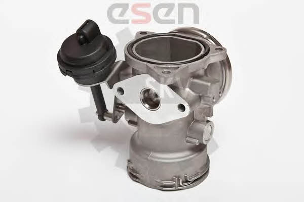 Esen SKV 14SKV025 Клапан рециркуляции отработанных газов EGR 14SKV025: Купить в Польше - Отличная цена на 2407.PL!