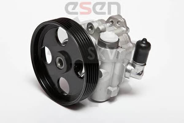 Esen SKV 10SKV004 Hydraulic Pump, steering system 10SKV004: Buy near me in Poland at 2407.PL - Good price!