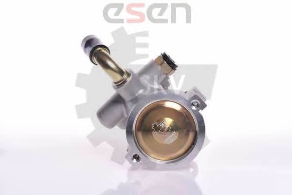 Esen SKV 10SKV133 Hydraulic Pump, steering system 10SKV133: Buy near me in Poland at 2407.PL - Good price!