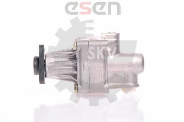 Buy Esen SKV 10SKV011 at a low price in Poland!