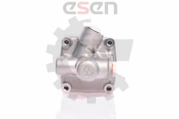 Esen SKV 10SKV011 Hydraulic Pump, steering system 10SKV011: Buy near me in Poland at 2407.PL - Good price!
