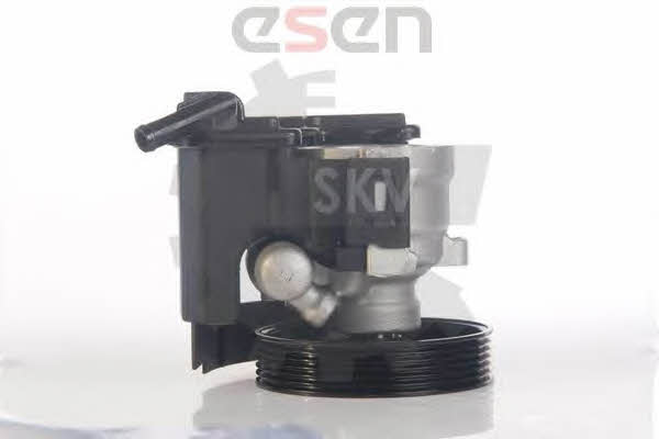Hydraulic Pump, steering system Esen SKV 10SKV171