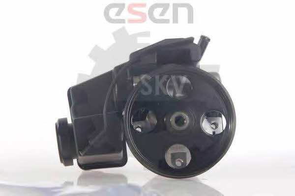 Esen SKV 10SKV171 Насос гидроусилителя руля 10SKV171: Отличная цена - Купить в Польше на 2407.PL!