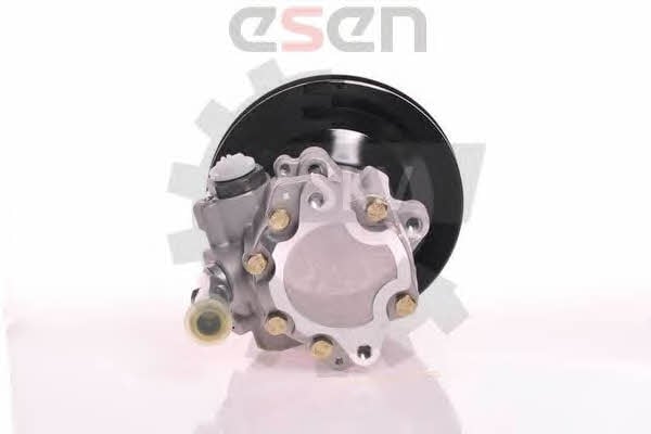 Esen SKV 10SKV169 Hydraulic Pump, steering system 10SKV169: Buy near me in Poland at 2407.PL - Good price!