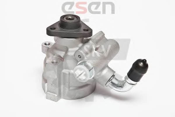 Esen SKV 10SKV064 Hydraulic Pump, steering system 10SKV064: Buy near me in Poland at 2407.PL - Good price!
