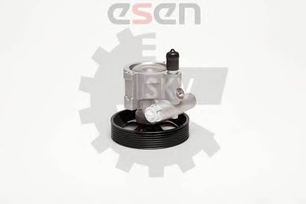 Esen SKV 10SKV115 Hydraulic Pump, steering system 10SKV115: Buy near me in Poland at 2407.PL - Good price!