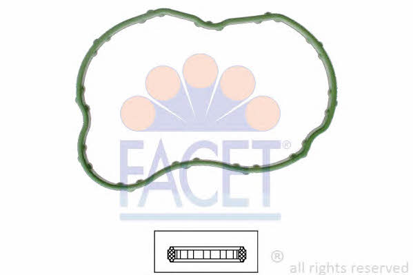 Facet 7.9702 Termostat gasket 79702: Buy near me in Poland at 2407.PL - Good price!