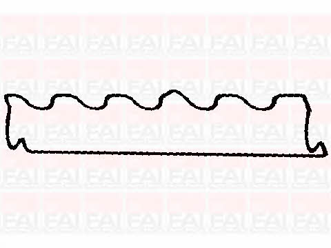 FAI RC1076S Gasket, cylinder head cover RC1076S: Buy near me in Poland at 2407.PL - Good price!