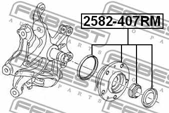 Маточина колеса з підшипником задня Febest 2582-407RM