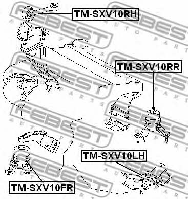 Купить Febest TMSXV10RR – отличная цена на 2407.PL!