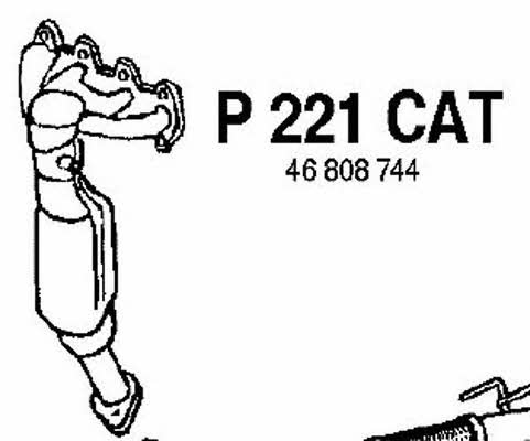 Fenno P221CAT Catalytic Converter P221CAT: Buy near me in Poland at 2407.PL - Good price!