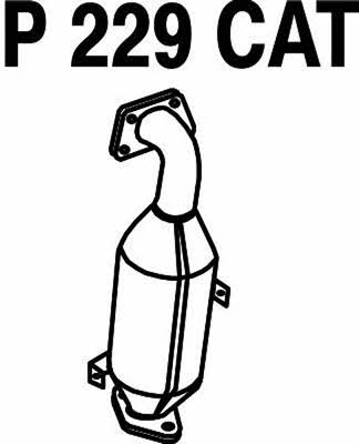 Fenno P229CAT Catalytic Converter P229CAT: Buy near me in Poland at 2407.PL - Good price!