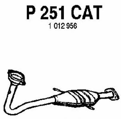 Fenno P251CAT Catalytic Converter P251CAT: Buy near me in Poland at 2407.PL - Good price!