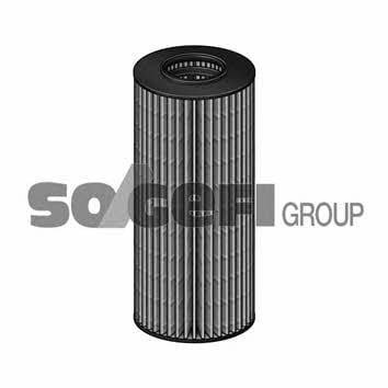 Fiaam FA6080ECO Oil Filter FA6080ECO: Buy near me in Poland at 2407.PL - Good price!