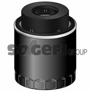 Fiaam FT6035 Oil Filter FT6035: Buy near me at 2407.PL in Poland at an Affordable price!