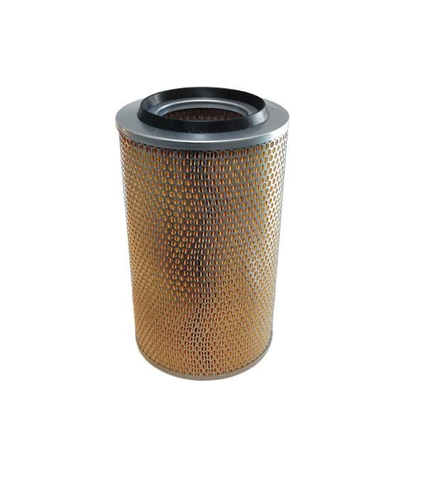Filtron AM 405 Air filter AM405: Buy near me in Poland at 2407.PL - Good price!
