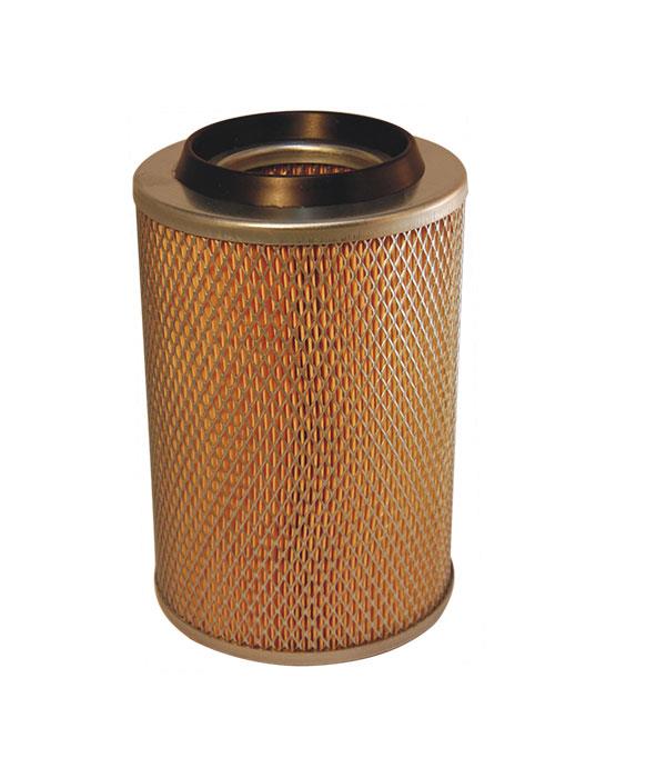 Filtron AM 417 Air filter AM417: Buy near me in Poland at 2407.PL - Good price!