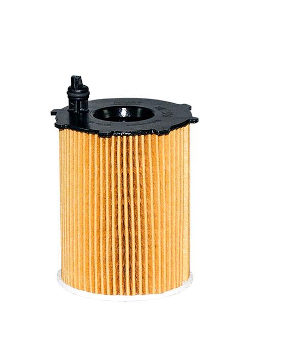 Filtron OE 667/4A Oil Filter OE6674A: Buy near me in Poland at 2407.PL - Good price!