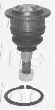 First line FBJ5563 Ball joint FBJ5563: Buy near me in Poland at 2407.PL - Good price!