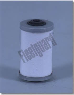 Fleetguard FF5053 Fuel filter FF5053: Buy near me in Poland at 2407.PL - Good price!