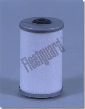 Fleetguard FF5054 Fuel filter FF5054: Buy near me in Poland at 2407.PL - Good price!