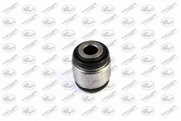 Fortune line FZ3175 Ball bearing front left FZ3175: Buy near me in Poland at 2407.PL - Good price!