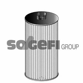Fram CH10955ECO Oil Filter CH10955ECO: Buy near me in Poland at 2407.PL - Good price!