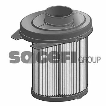 Fram CA3174B Air filter CA3174B: Buy near me at 2407.PL in Poland at an Affordable price!