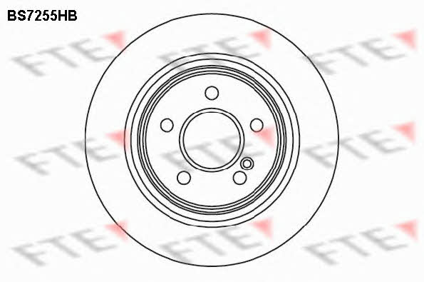 FTE BS7255HB Hintere belüftete Bremsscheibe BS7255HB: Kaufen Sie zu einem guten Preis in Polen bei 2407.PL!