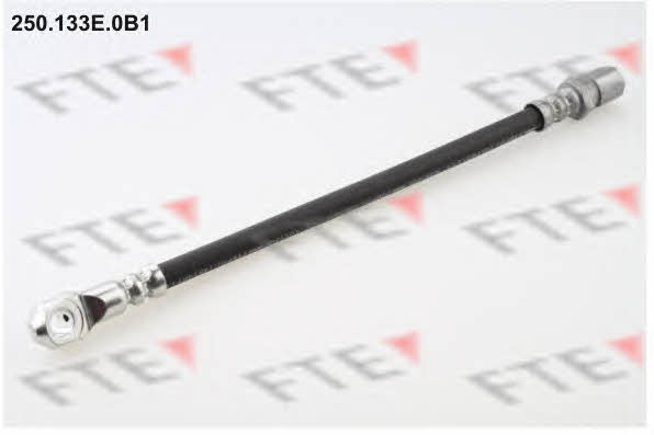 FTE 250.133E.0B1 Brake Hose 250133E0B1: Buy near me at 2407.PL in Poland at an Affordable price!