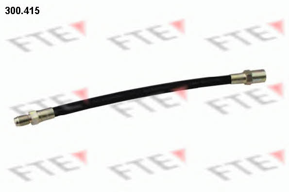 FTE 300.415 Clutch hose 300415: Buy near me in Poland at 2407.PL - Good price!