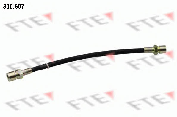FTE 300.607 Clutch hose 300607: Buy near me in Poland at 2407.PL - Good price!